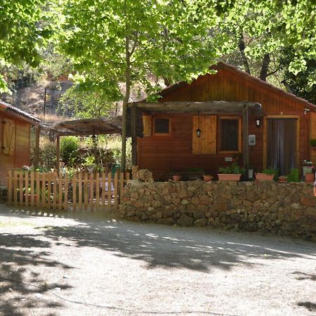 Cabanas Camping Sierra De Peñascosa Kültér fotó