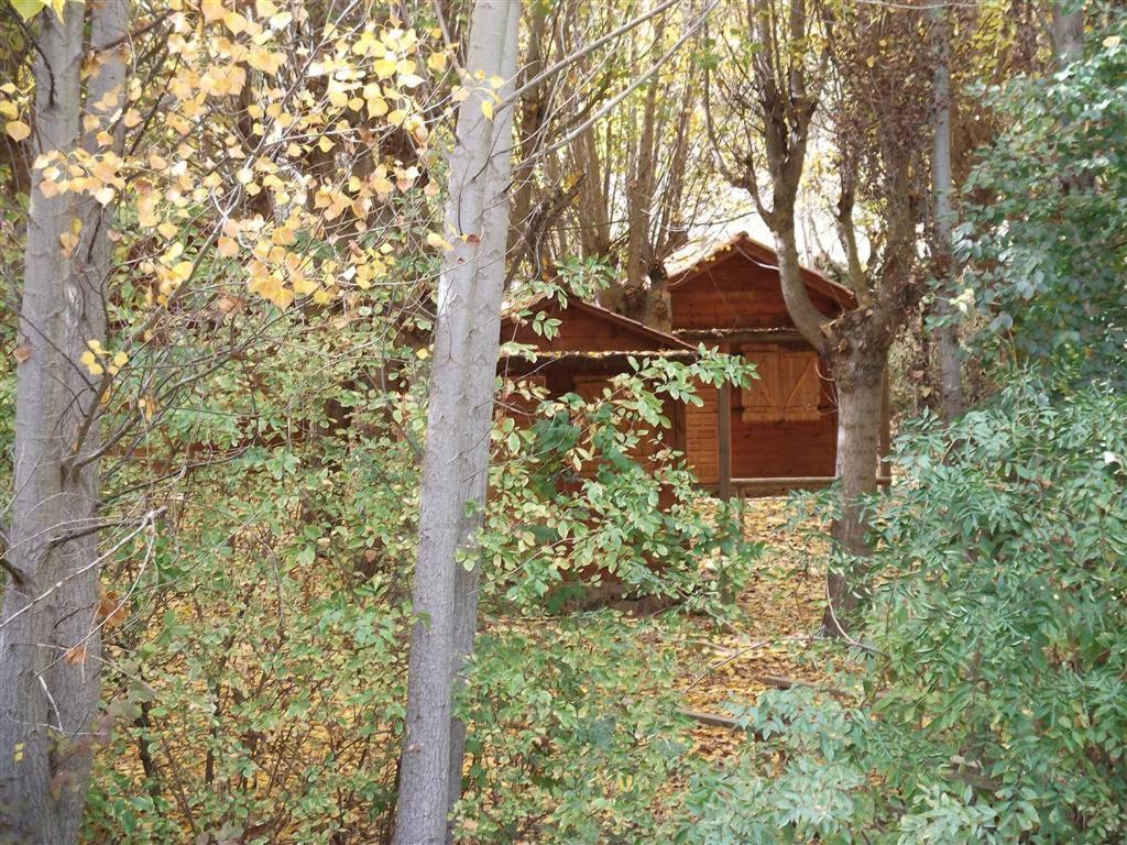 Cabanas Camping Sierra De Peñascosa Kültér fotó